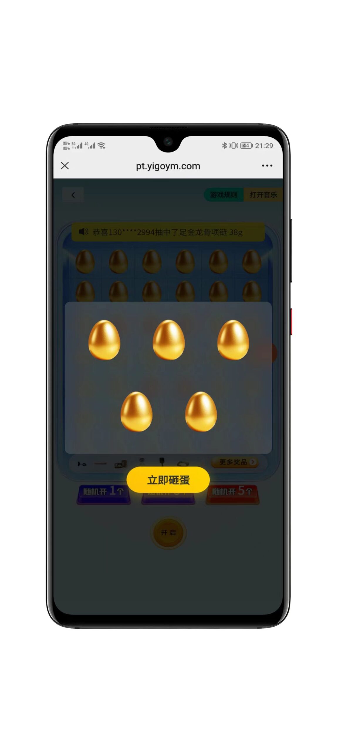 5.jpg